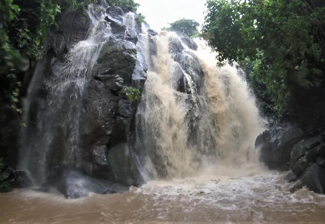 Moheli Vanilla Lodge Nioumachoua ภายนอก รูปภาพ